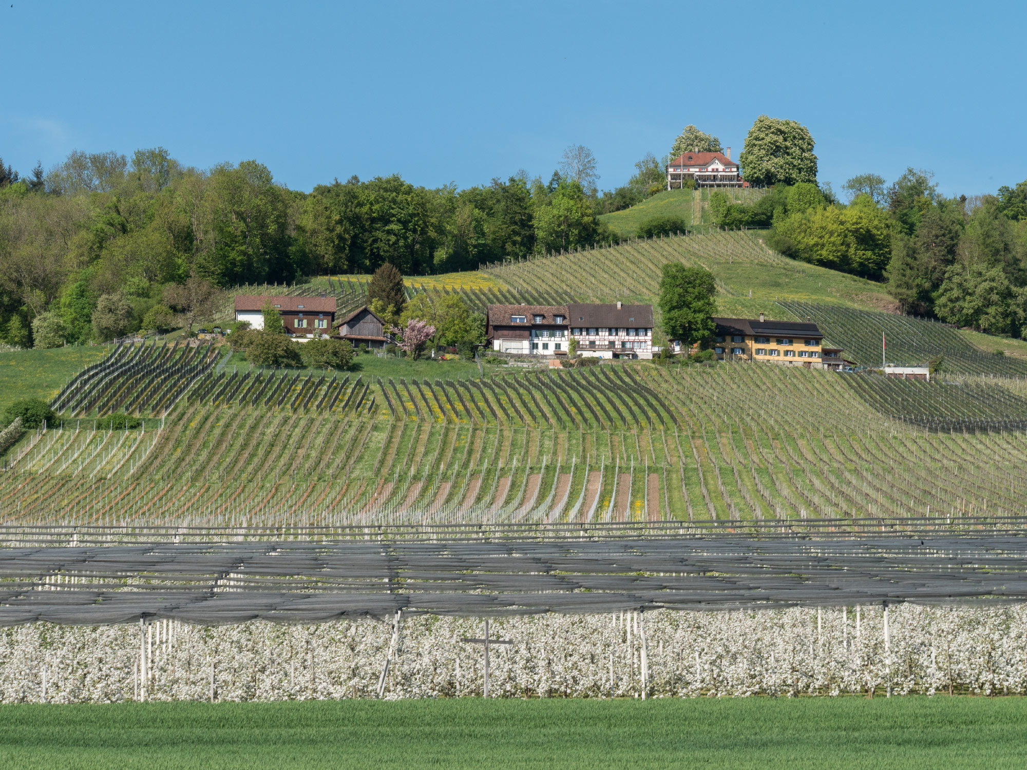 Weinfelden